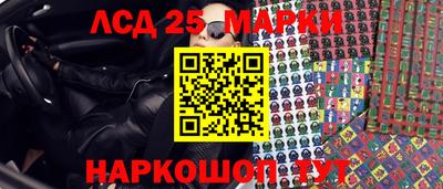 гидропоника Бердск