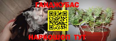 стафф Брянск