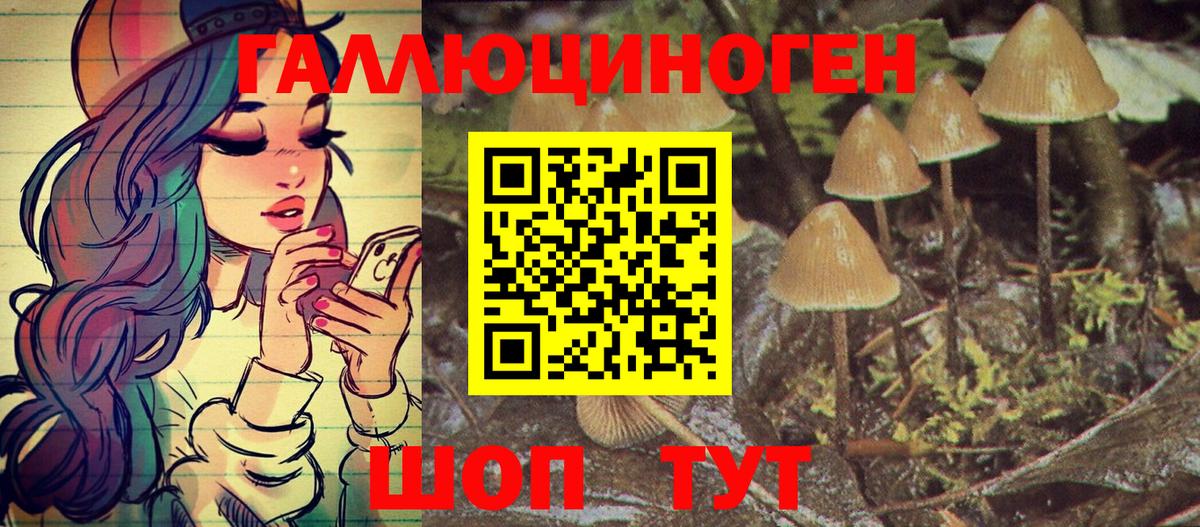 Псилоцибиновые грибы Psilocybine cubensis  Вход с VPN  Петропавловск-Камчатский 